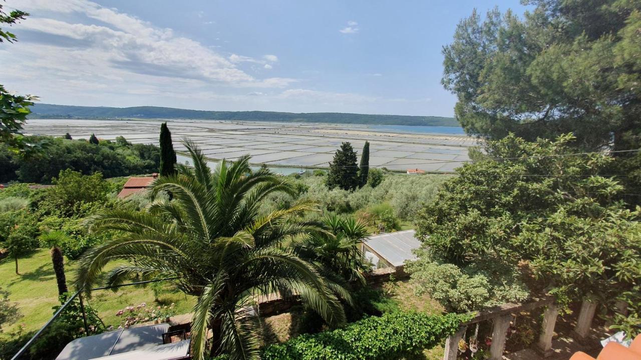 Apartment Laurus Portorož Dış mekan fotoğraf
