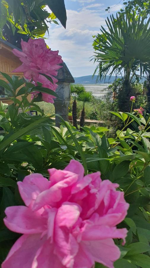 Apartment Laurus Portorož Dış mekan fotoğraf