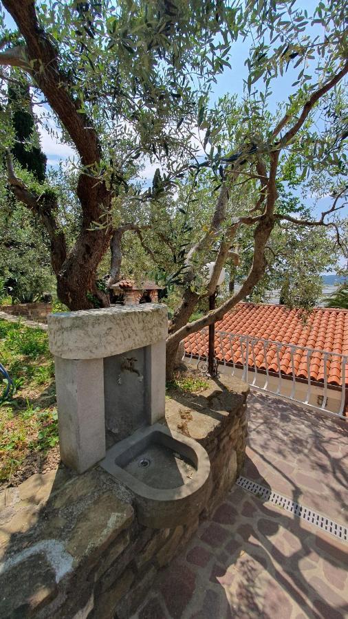 Apartment Laurus Portorož Dış mekan fotoğraf
