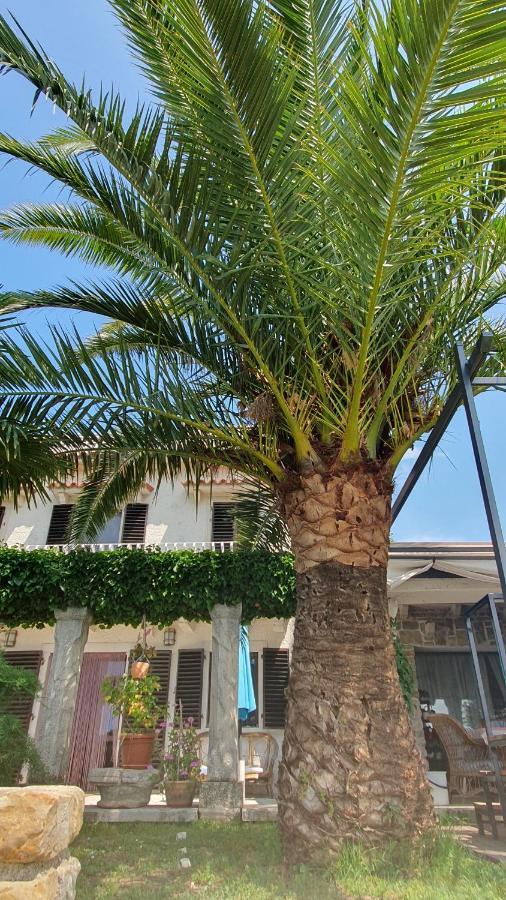 Apartment Laurus Portorož Dış mekan fotoğraf