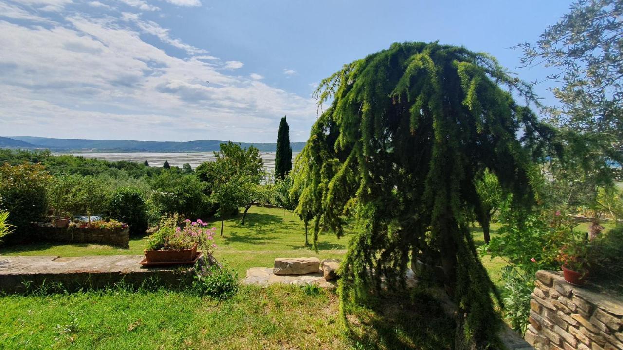 Apartment Laurus Portorož Dış mekan fotoğraf