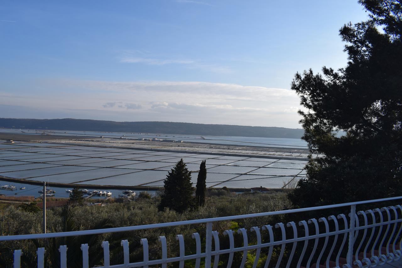 Apartment Laurus Portorož Dış mekan fotoğraf